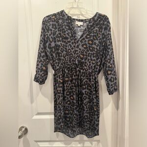 Cheetah print dress from the LOFT